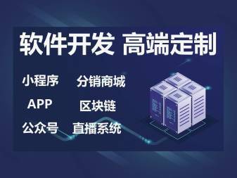 h5网站、小程序、app、公众号软件系统定制开发